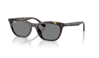 Gafas de sol Ray-Ban 0RB4474D 54  710/87
